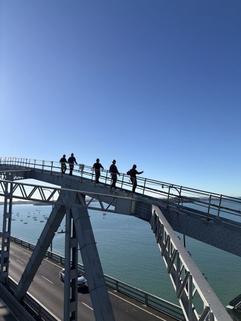 The Livic team walking across the Auckland Harbour Bridge.